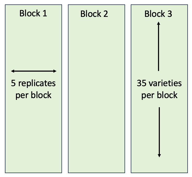 Vineyard blocks layout