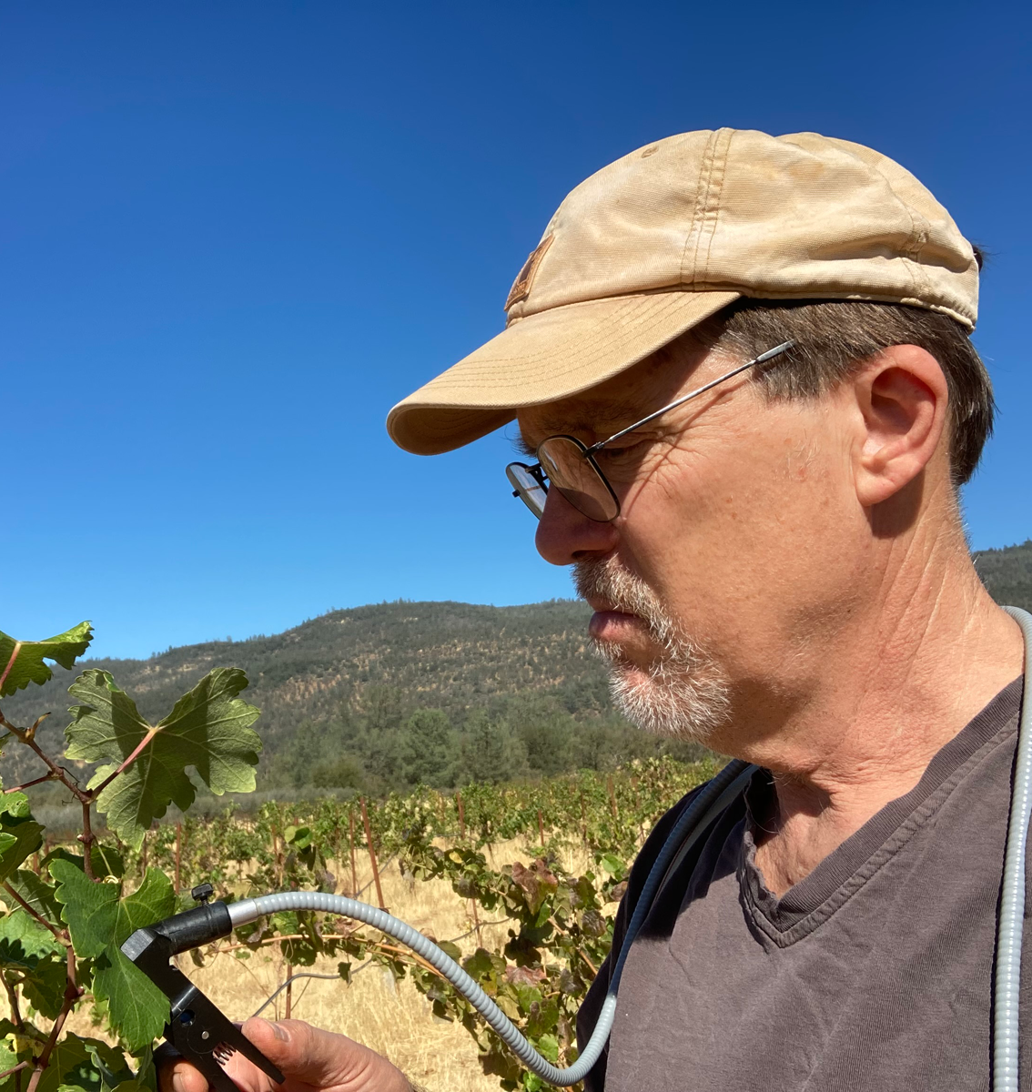 Dr. John Gamon performs leaf-level analysis on his vines